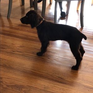 Meet your Posher, Spencey